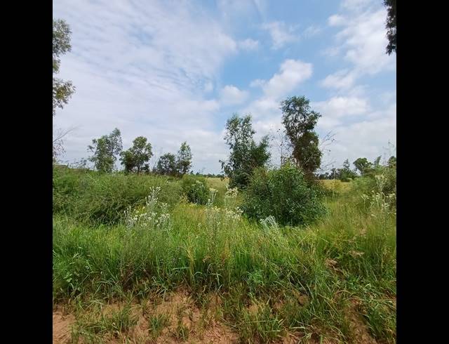 87,023M² VACANT LAND FOR SALE IN OPHIR AH